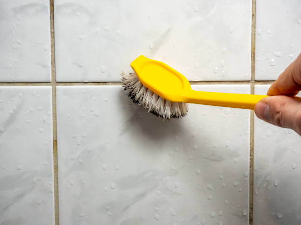  Horseshoe Bend, AR Mold Removal Pros